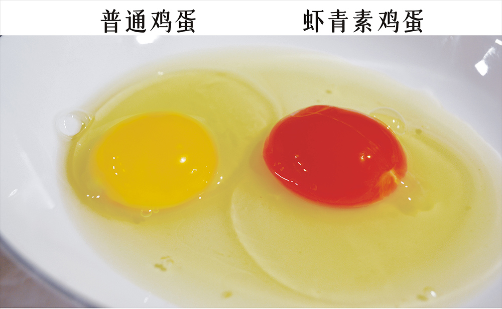 4da0423ee72624cb67aa2d0855ee569c.jpg